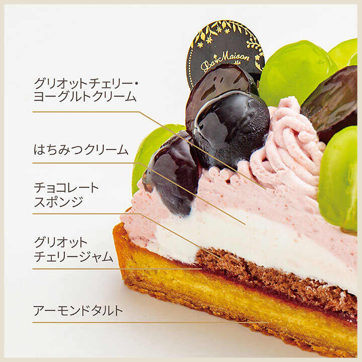 イメージ画像